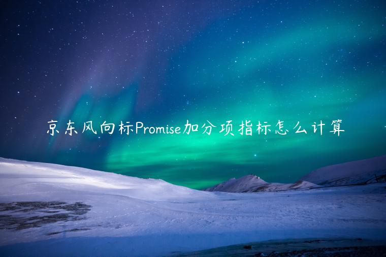 京東風向標Promise加分項指標怎么計算